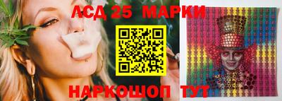 винт Сланцы