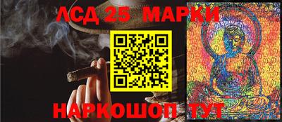 винт Сланцы