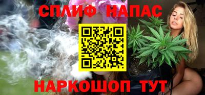 винт Сланцы