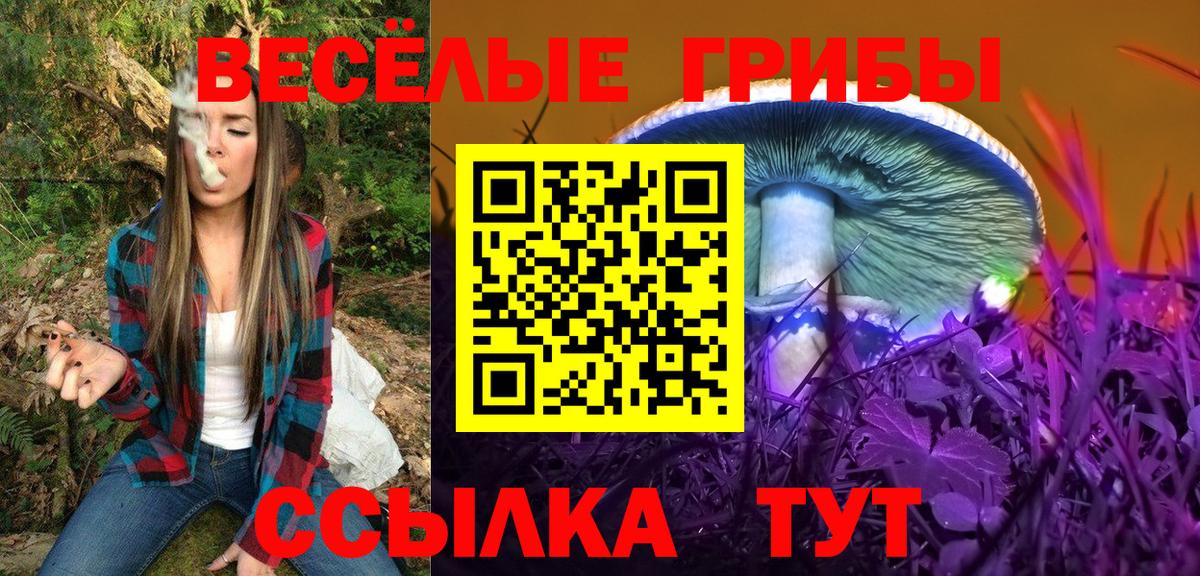 Реж  Псилоцибиновые грибы мухоморы  Вход с VPN  Галлюциногенные грибы мухоморы 